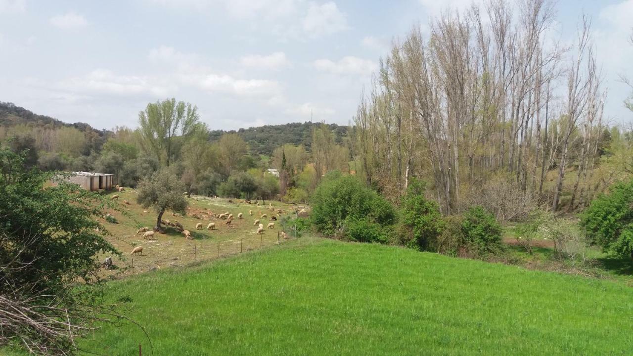 Casa Rural El Jardín del Hueznar San Nicolás del Puerto Exterior foto